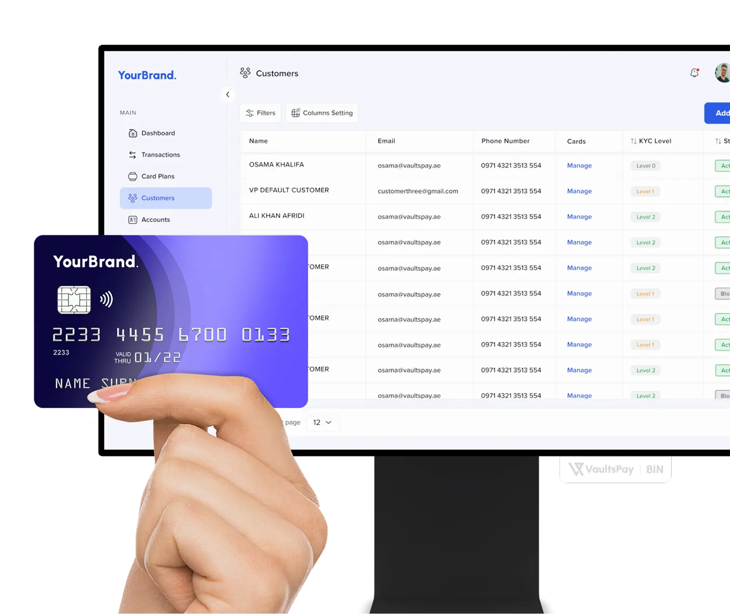 VaultsPay BIN Sponsorship for customizable branded card issuing