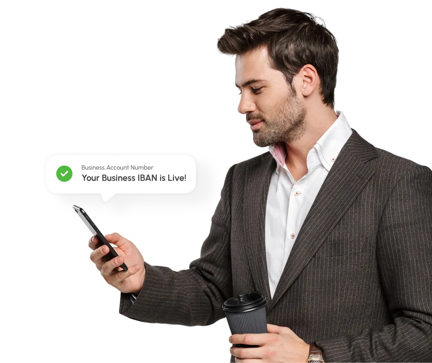 VaultsPay IBAN Business Account Global Banking Visual