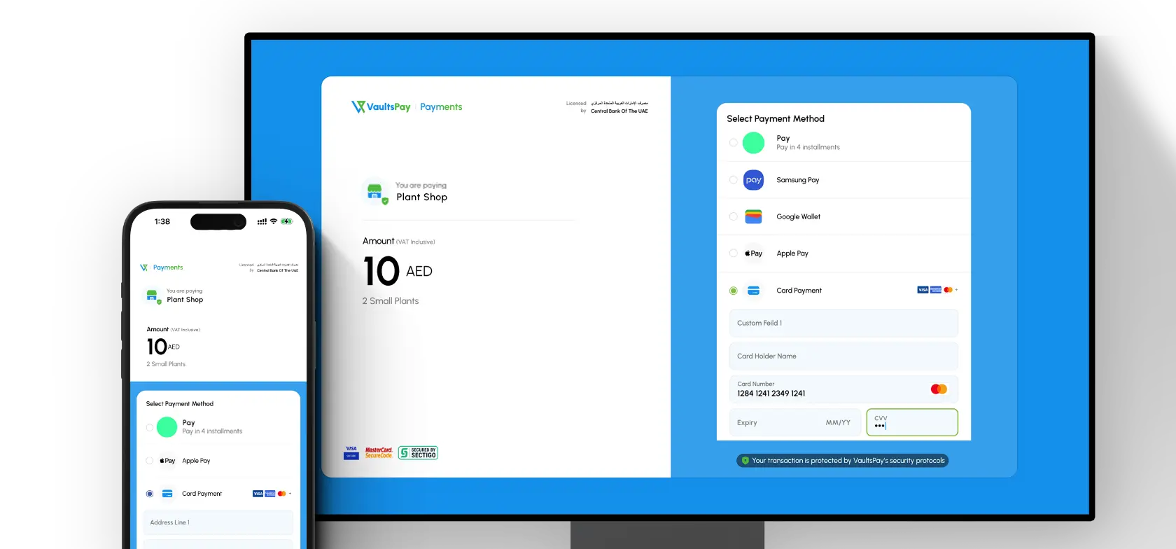 VaultsPay Secure Payment Page